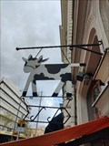 Image for The Cow - Turku, Finland