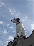 Image for Nipper the RCA Dog - Albany, NY