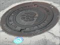 Image for League City Manhole - Texas