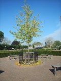 Image for Koning Willem-Alexander - Koningsboom - Andel, the Netherlands