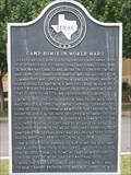 Image for Camp Bowie in World War I