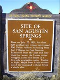 Image for Site of San Agustín Springs