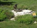 Image for Salado, Texas: Indian Mermaid Statue