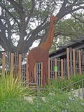 Image for Giraffe - San Antonio, TX