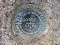 Image for BM0184 - "D 1030" bench mark disk - Austin County, TX