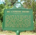 Image for Big Cypress Swamp