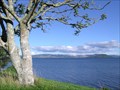 Image for Lake Rotorua. North Is. New Zealand.
