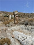 Image for Lesvos Petrified Forest Geopark - Greece
