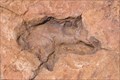 Image for Dinosaur tracks, Otjihaenamaparero, Namibia