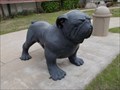 Image for Wagoner Bulldog - Semore Park - Wagoner, OK