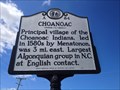 Image for Choanoac | A-84
