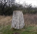 Image for Thirkleby Wold Trigpoint, E. Yorks, UK