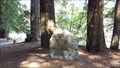 Image for National Tribute Grove - Jedediah State Park, CA