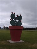 Image for Cactus Flower Pot - Vining, MN