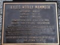 Image for Kyle's Wooly Mammoth