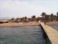 Image for Royal Diving Club Dive Centre - Aqaba, Jordan