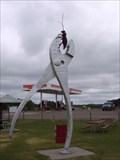 Image for Pliers and Insect - Vining, MN