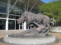 Image for White Rhino, Durban South Africa