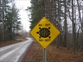 Image for Turtle Crossing - Ottawa, Ontario