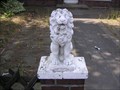 Image for German lion