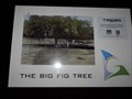 Image for Big Fig, Miriam Vale [Qld, Australia]