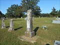 Image for Homer A. Johnson - Six Mile Cemetery - Hatfield, AR