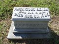 Image for Americous Beach - Sadler Cemetery - Sadler, TX