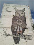 Image for The Owl - Fayetteville AR