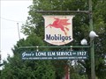 Image for Gass's Lone Elm Service - Imlay City, MI