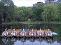 Image for Swan Boats - Public Garden - Boston, MA