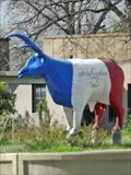 Image for Longhorn Steer - San Antonio, TX