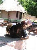 Image for Carved Wood Hippopotamus Sculpture - Kasane, Botswana