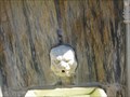 Image for Lion Fountain -St. Charles, MO