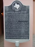 Image for Galveston Medical College