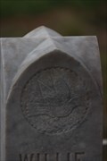 Image for Grave of Willie Davenport -- Davenport Cemetery, Bexar Co. TX USA