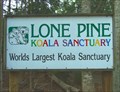 Image for Lone Pine Sanctuary. Brisbane. Australia.