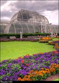 Image for Palm House - Royal Botanic Gardens, Kew (London, UK)