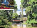 Image for Roses, Bougainvillea and Cypress Trees - Winter Haven, FL
