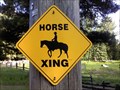 Image for Equestrian X-ing - Rossland, British Columbia