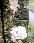 Image for Cut Mark - Tyddyn-Y-Ffrwd gatepost, Moelfre, Ynys Môn, Wales