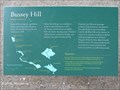Image for Bussey Hill:  History in Full View - Arnold Arboretum - Boston, MA