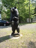 Image for Watchung Bear  -  Watchung, NJ