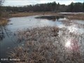 Image for The Nature Trail and Cranberry Bog, Patriot Place - Foxborough, MA