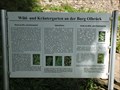 Image for Herbage Garden at the Burg Olbrück, RLP / Germany