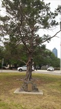 Image for Sesquicentennial Christmas Tree - Friendship Park - Jacksonville, FL