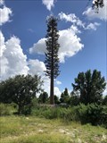 Image for Rainbow Park Cell Tower - Kissimmee, Florida, USA