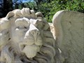 Image for Winged Lion of St. Mark - Englewood, CO