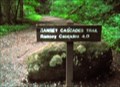 Image for Ramsey Cascades Trail - GSMNP, TN