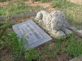 Image for Lion at the Grave of Charles Eugene Connally - White's Chapel Cemetery - Southlake, TX
