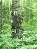 Image for Shoe Tree - Chalk River Ontario